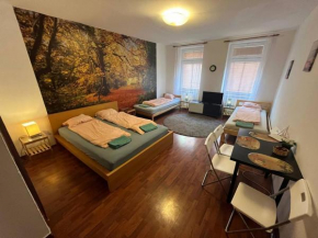 Apartments Spolkova